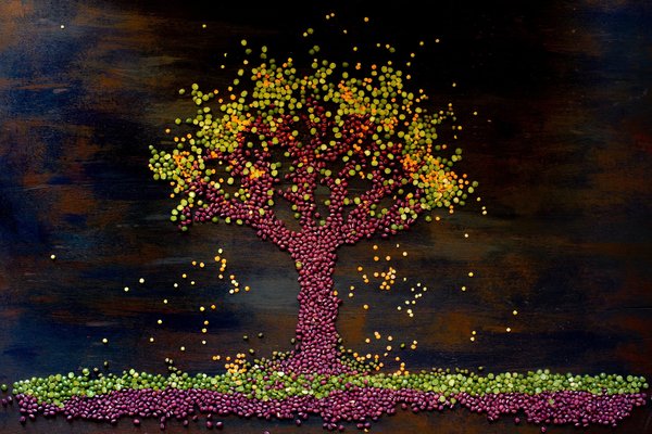 Comment réaliser un mur végétal intérieur avec un budget limité ?